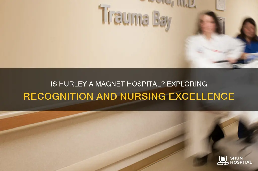 is hurley a magnent hospital