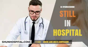 Hydrocodone in Hospitals: Current Use and Availability Explained
