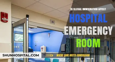 The Impact of Illegal Immigration on Hospital Emergency Rooms