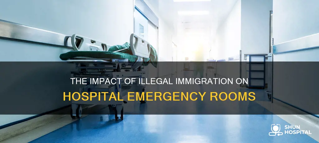 is illegal immigration affect hospital emergency room