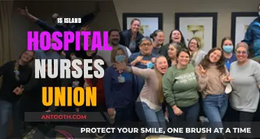 Is Island Hospital Nurses Union: Understanding Their Role and Impact