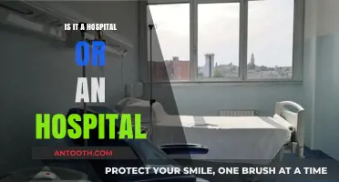 The Correct Way: Hospital or an Hospital?