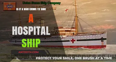 Sinking Hospital Ships: War Crime or Military Necessity?