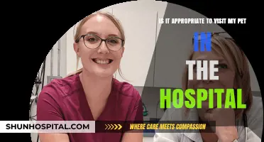 Should You Visit Your Pet in the Hospital? Expert Advice
