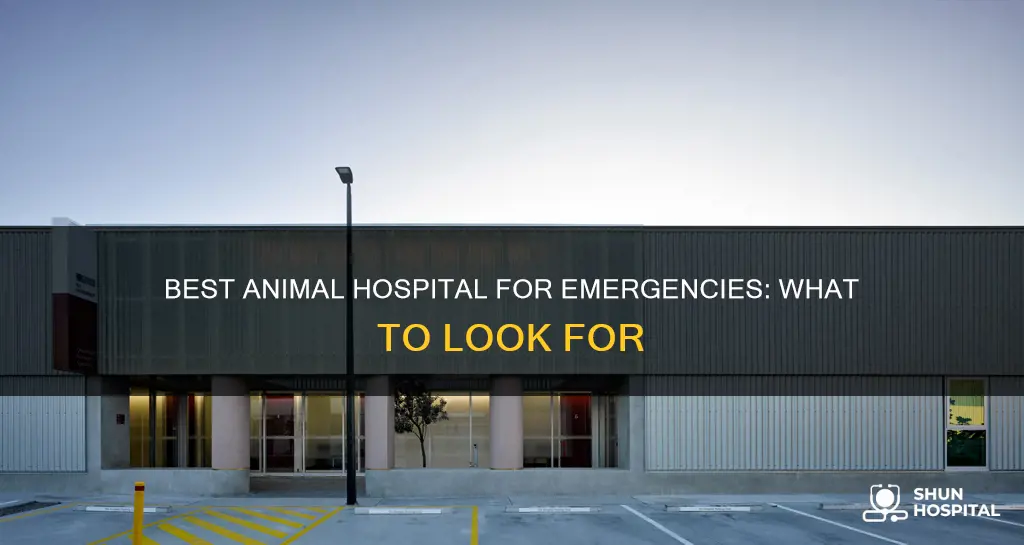 is it best animal hospital for emergencies