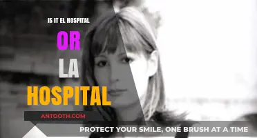 Mastering Gender Agreement: El Hospital or La Hospital?