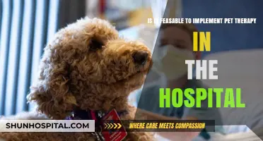 Pet Therapy in Hospitals: Feasibility and Benefits Explored
