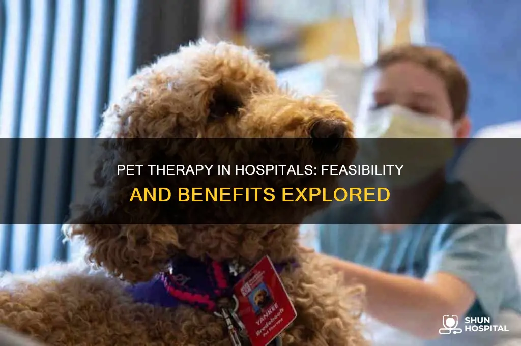 is it feasable to implement pet therapy in the hospital