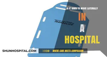 Navigating Lateral Moves in Hospitals: Challenges and Opportunities Explored