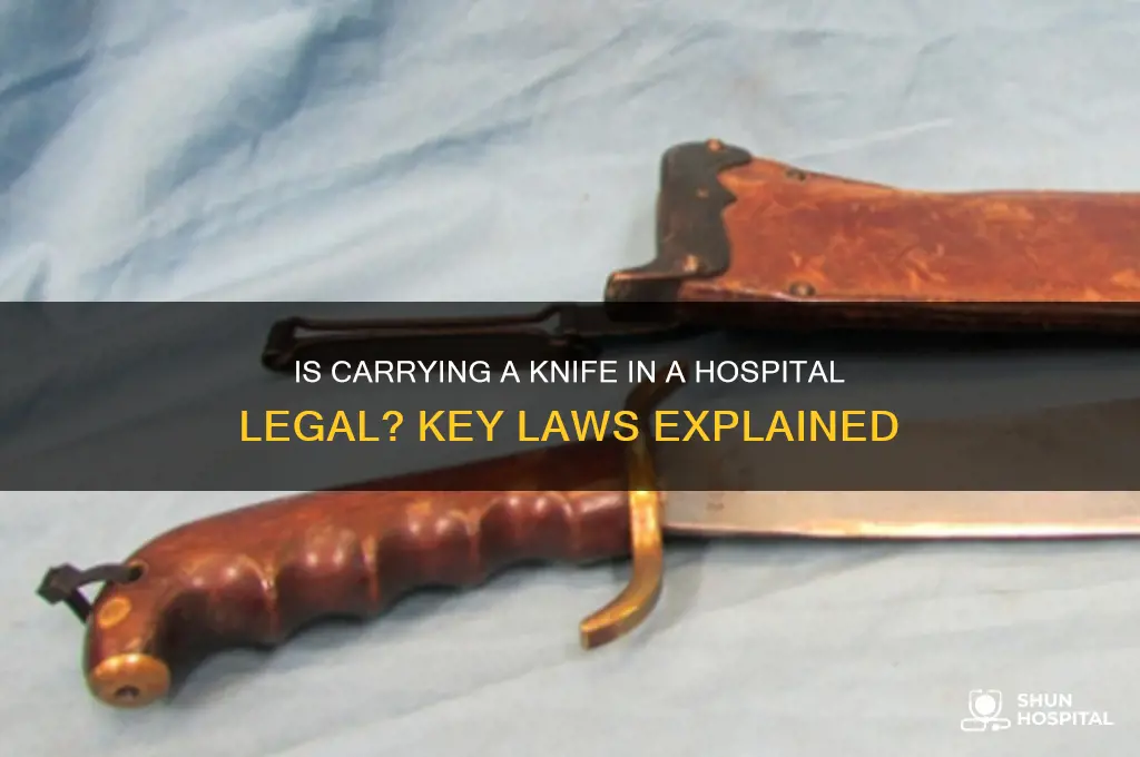 is it legal to carry a knife in a hospital