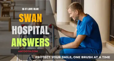 Blue Swan Hospital: Love or Not?