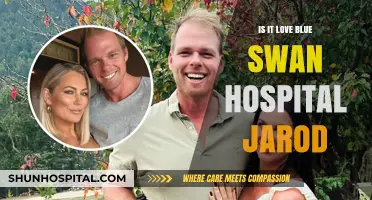 Blue Swan Hospital: Jarod's Love Story