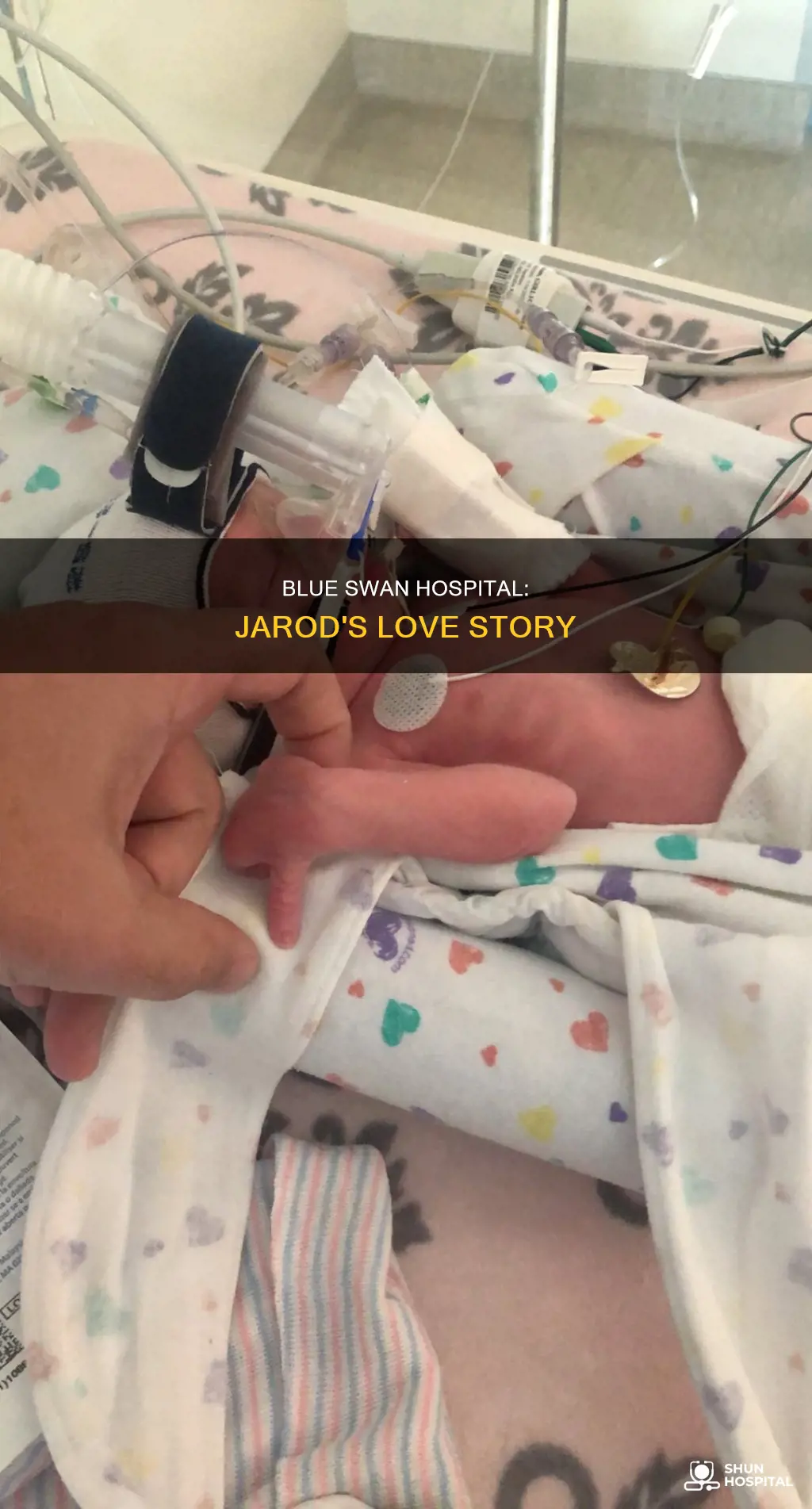 is it love blue swan hospital jarod