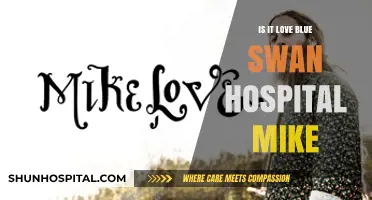 Love's Healing Touch: Mike's Story in Blue Swan Hospital