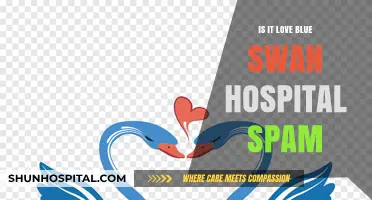 Spam Alert: Blue Swan Hospital's "Is It Love?