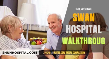 Blue Swan Hospital: A Love Story Walkthrough