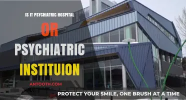 Psychiatric Hospitals vs. Institutions: What's in a Name?