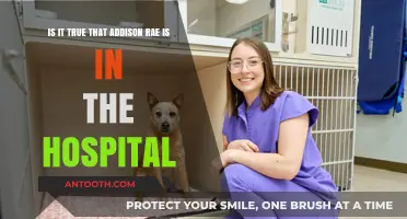 Addison Rae Hospitalized: Separating Fact from Fiction in Recent Reports