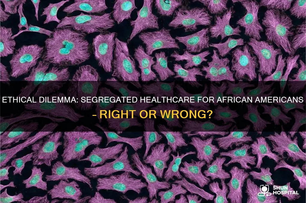 is it unethical to open a hospital for african americans