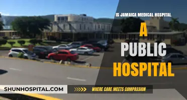 Jamaica Hospital: Public or Private?