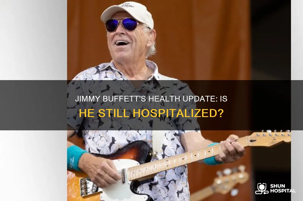 is jimmy buffett still hospitalized