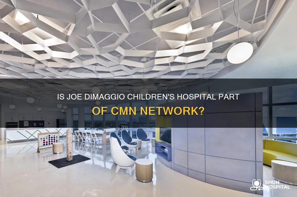 is joe dimaggio