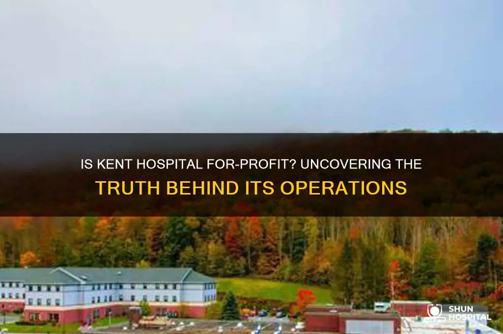 is kent hospital for profit