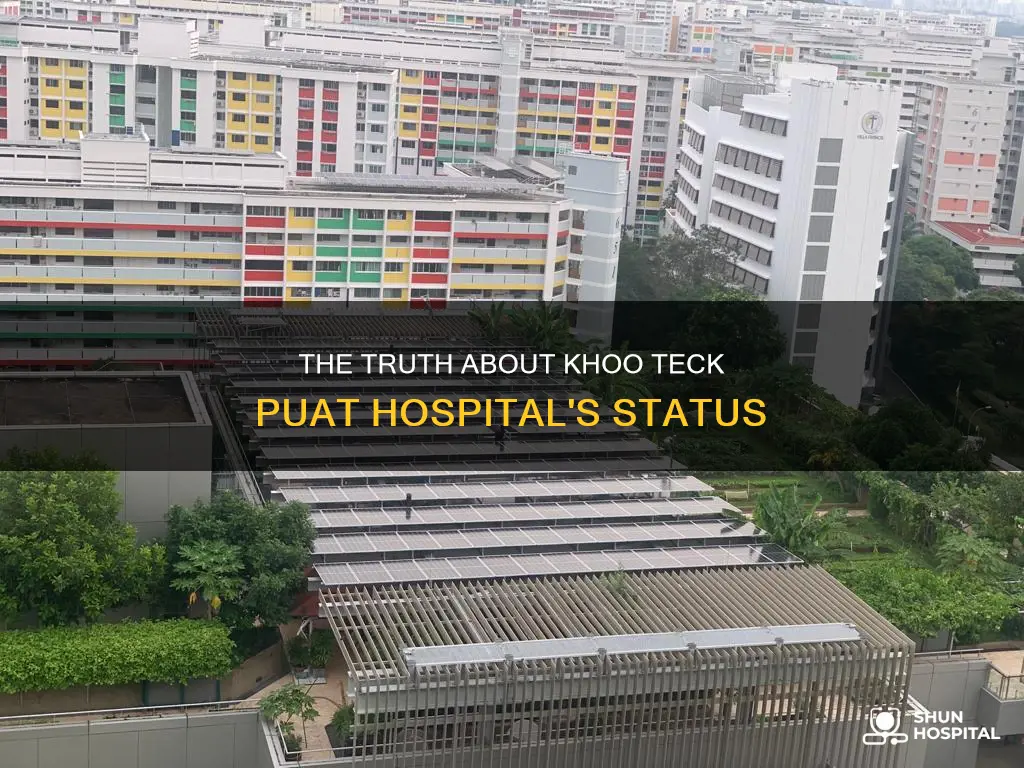 is khoo teck puat a government hospital