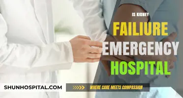 Is Kidney Failure an Emergency? When to Rush to the Hospital