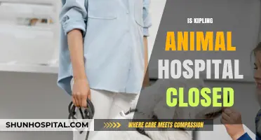 Is Kipling Animal Hospital Closed? Current Status and Updates