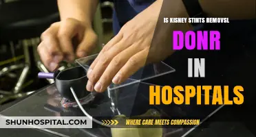 Stint Removal: Hospital Procedure for Kidney Stents