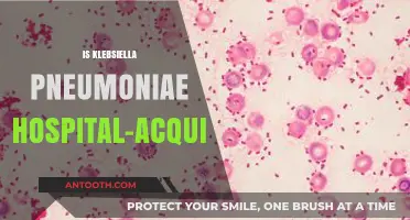 Klebsiella Pneumoniae: Understanding Hospital-Acquired Infections and Risks