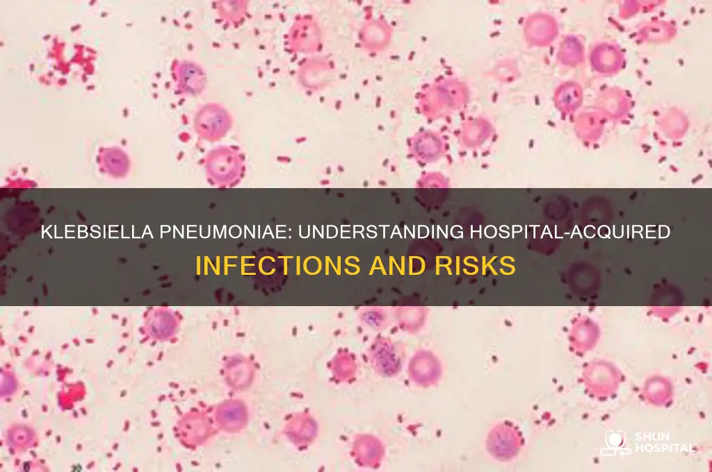is klebsiella pneumoniae hospital-acquired