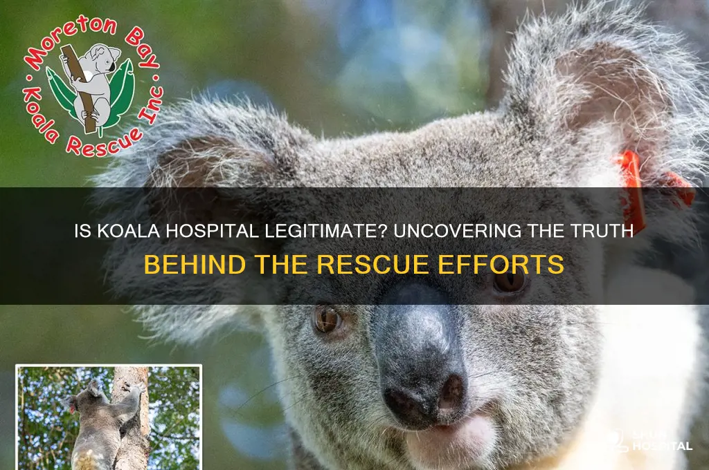 is koala hospital legit