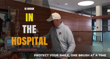 Is Kodak in the Hospital? Unraveling the Truth Behind the Rumors