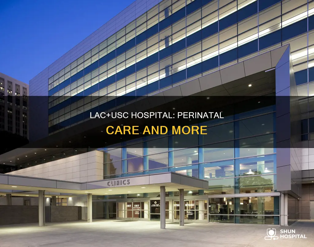 is la county usc hospital a perinatal
