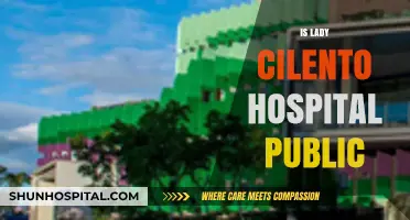 Is Lady Cilento Hospital Public? Understanding Its Healthcare Status