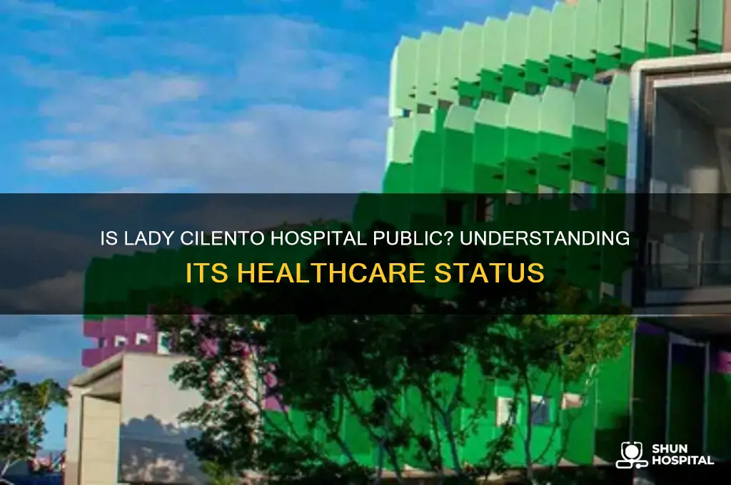 is lady cilento hospital public
