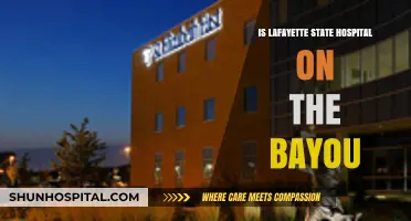 Lafayette State Hospital: A Historic Bayou Landmark