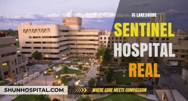Is Lakeshore Sentinel Hospital Real? Uncovering the Truth Behind the Name