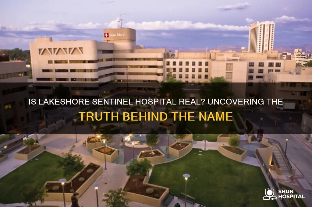 is lakeshore sentinel hospital real