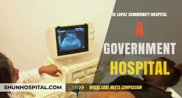 Lapaz Community Hospital: Public or Private?