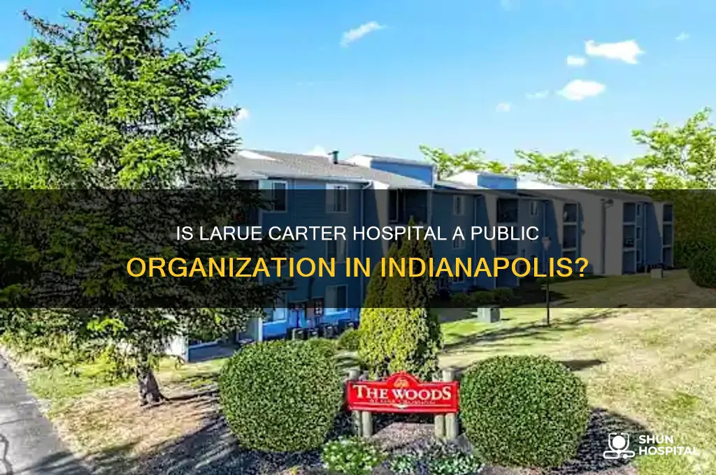 is larue carter hospital a public organization in indianapolis