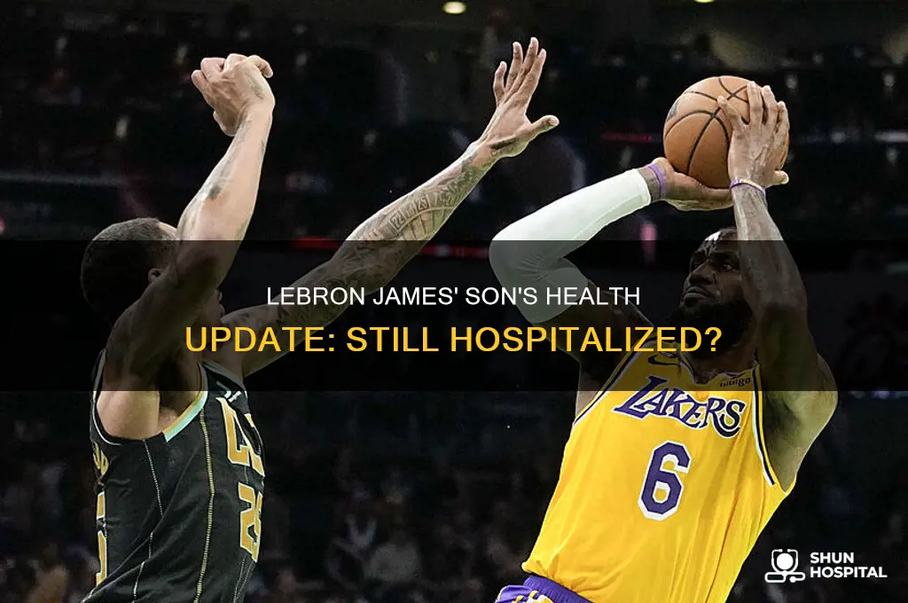 is lebron james
