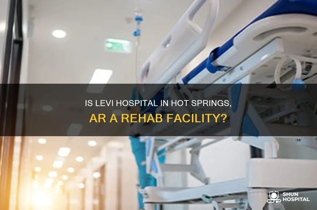 is levi hospital in hot dorings ar a rehab facility