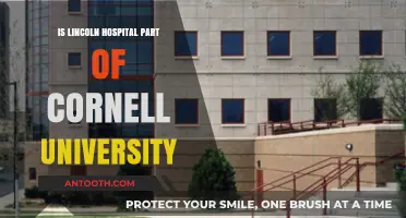 Cornell University and Lincoln Hospital: Partners or Rivals?