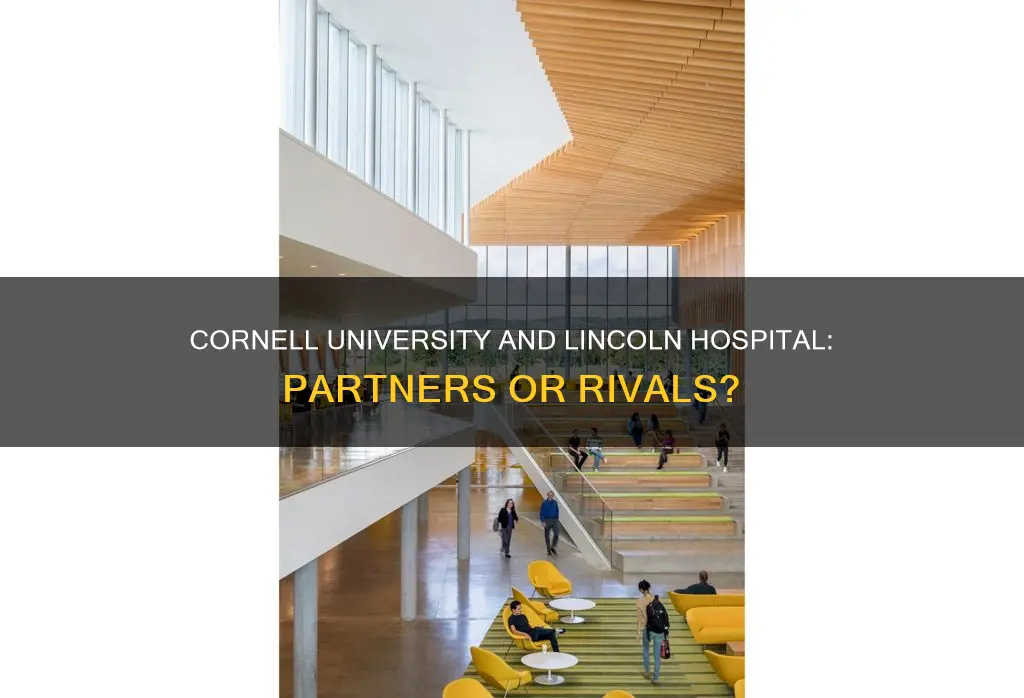 is lincoln hospital part of cornell university