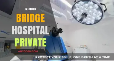 Is London Bridge Hospital Private? Exploring Ownership and Patient Access