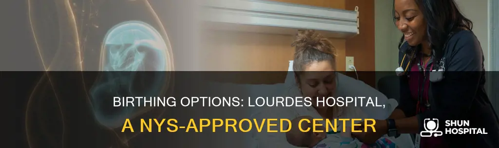 is lourdes hospital a nys birthing center