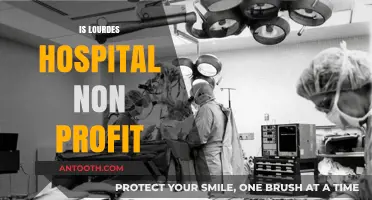 Is Lourdes Hospital Non-Profit? Exploring Its Financial and Community Impact